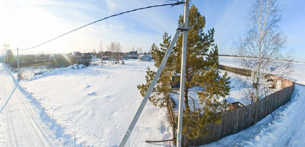 земля р-н Тюменский снт Лоза ул 2-я фото 7