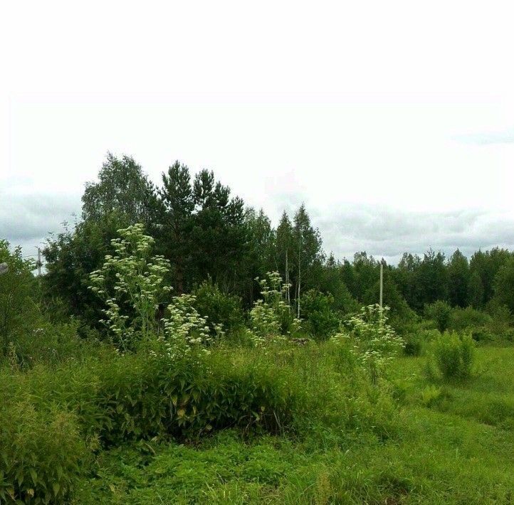 земля г Кировград снт Марина фото 2