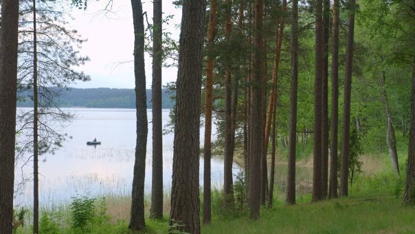 земля Забельская волость, Пустошка фото