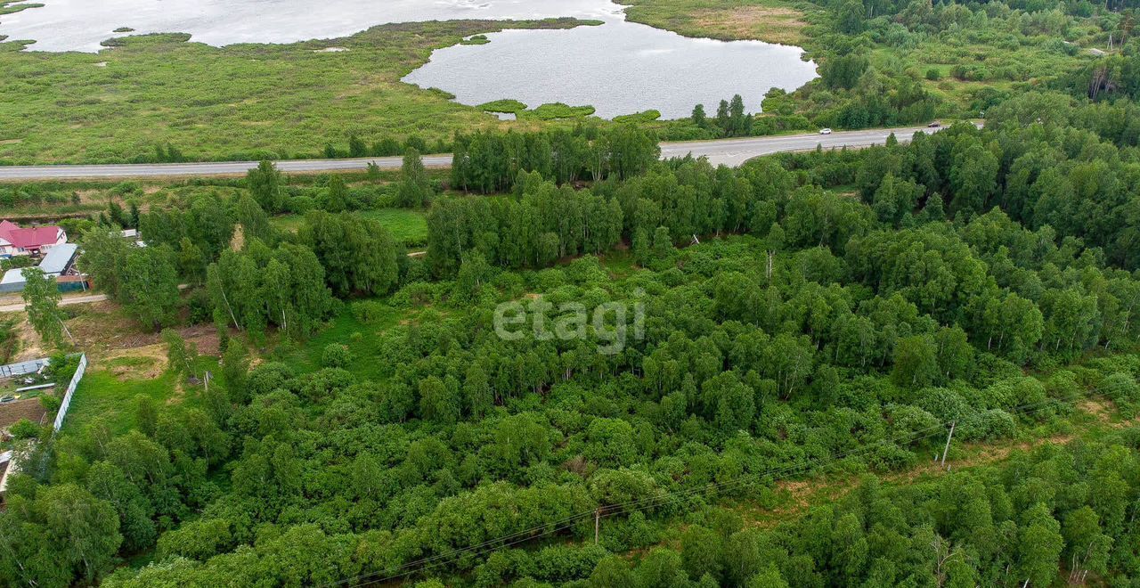 земля р-н Нижнетавдинский снт тер.Разбахта Тюмень фото 23