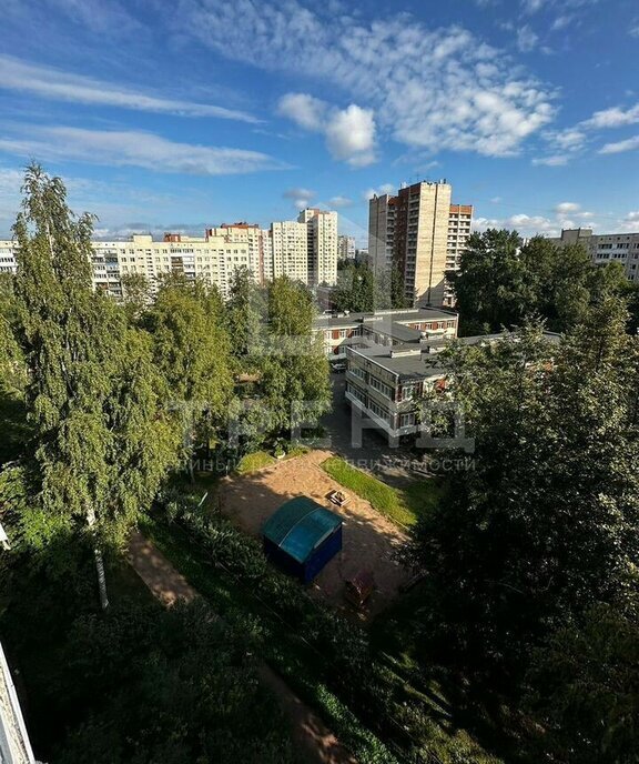 квартира г Санкт-Петербург метро Проспект Просвещения пр-кт Луначарского 62к/2 округ Сергиевское фото 16