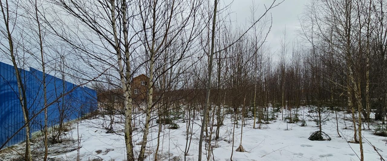 земля городской округ Сергиево-Посадский Новопальчино тер фото 3