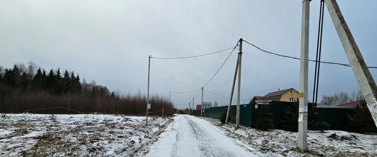 земля городской округ Сергиево-Посадский Новопальчино тер фото 6