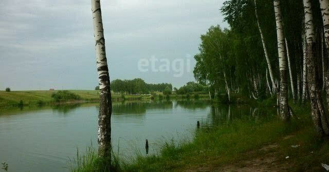 земля р-н Богородский д Килелей фото 1