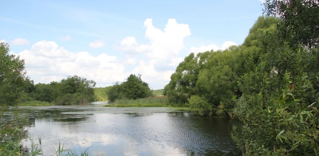 земля городской округ Раменский д Бритово ул Лесная 2пк/1 фото 1