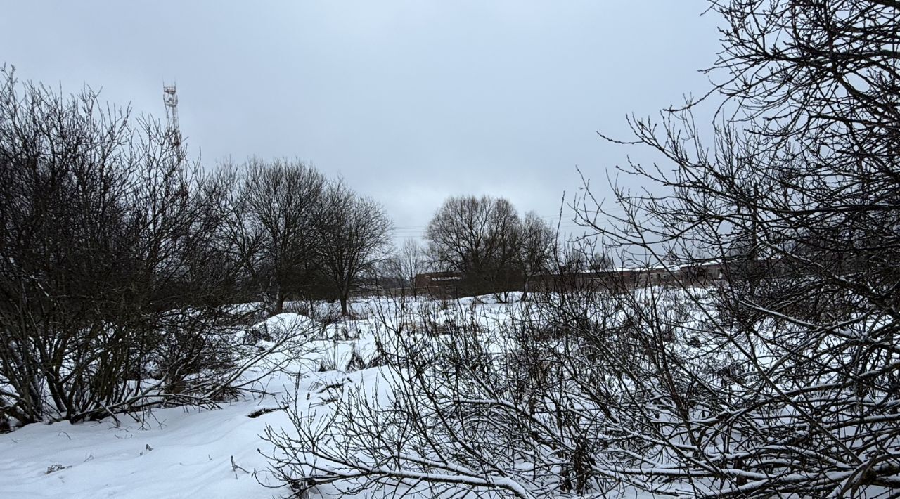 земля городской округ Сергиево-Посадский д Царевское с пос, Пушкинский городской округ фото 5