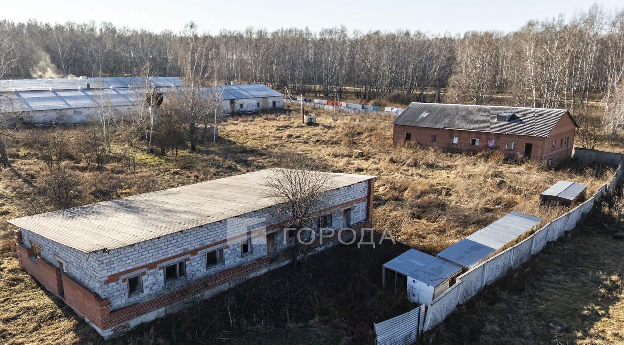 офис р-н Новосибирский п Советский ул Районная Каменский сельсовет фото 18