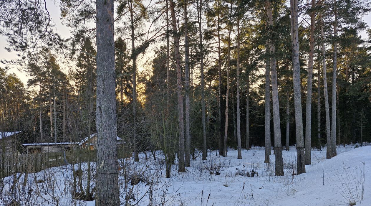 земля г Петрозаводск ул Фёдора Тимоскайнена фото 1