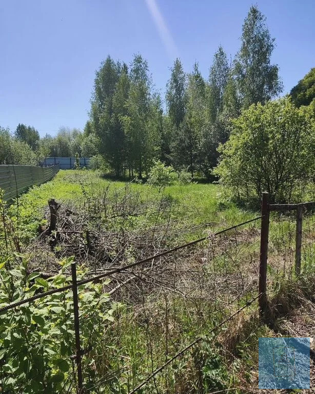 земля городской округ Солнечногорск п Шишовка Ленинградское, солнечная фото 9