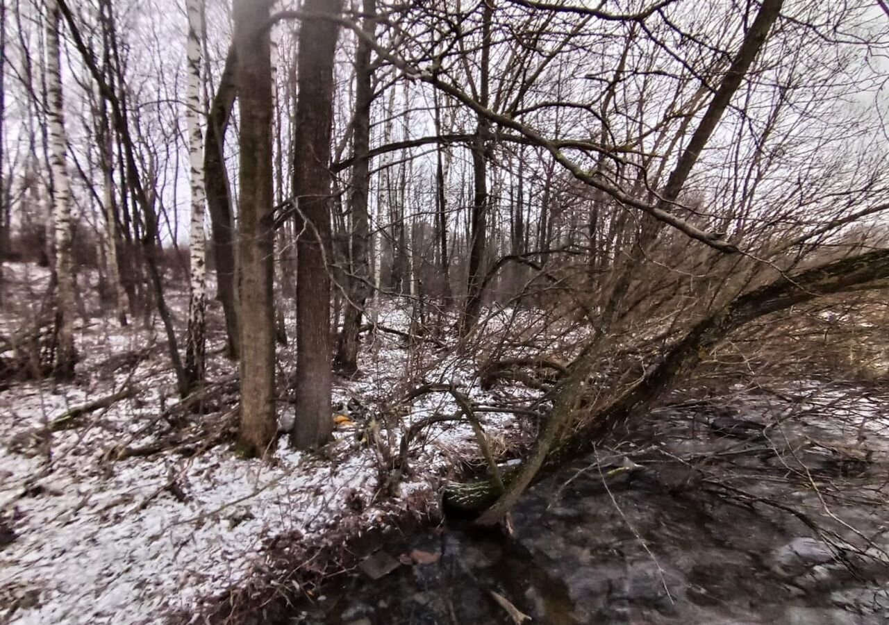 земля городской округ Ленинский д Спасское 3 км, Видное, Варшавское шоссе фото 11