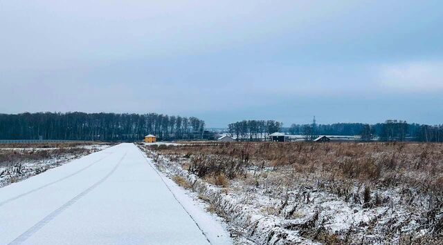 Кузьминское Парк кп, 12 фото