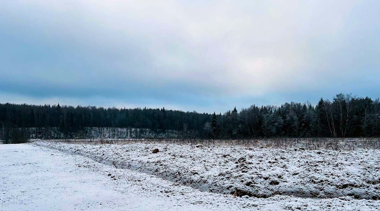 земля г Подольск д Пузиково Подольск фото 14