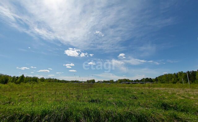 днп Слобода Вольная Томск фото