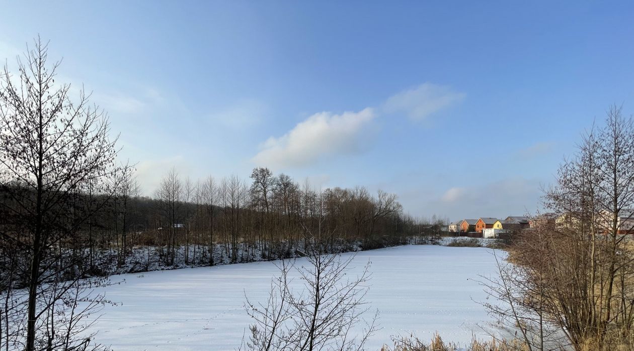 земля городской округ Ступино с Верзилово р-н мкр Новое Ступино фото 3