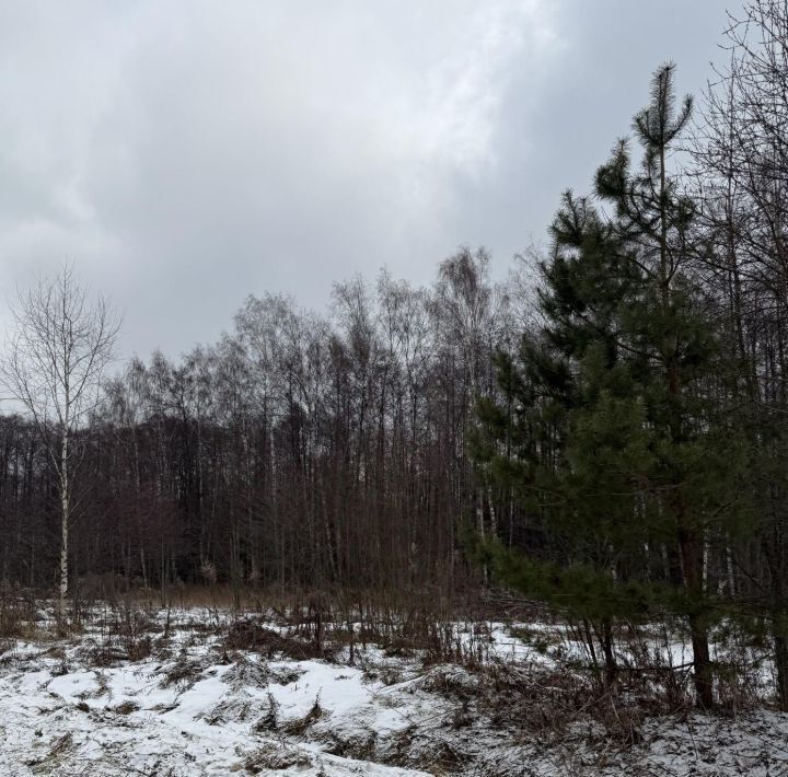 земля г Владимир д Никулино ул Извилистая р-н Октябрьский фото 5