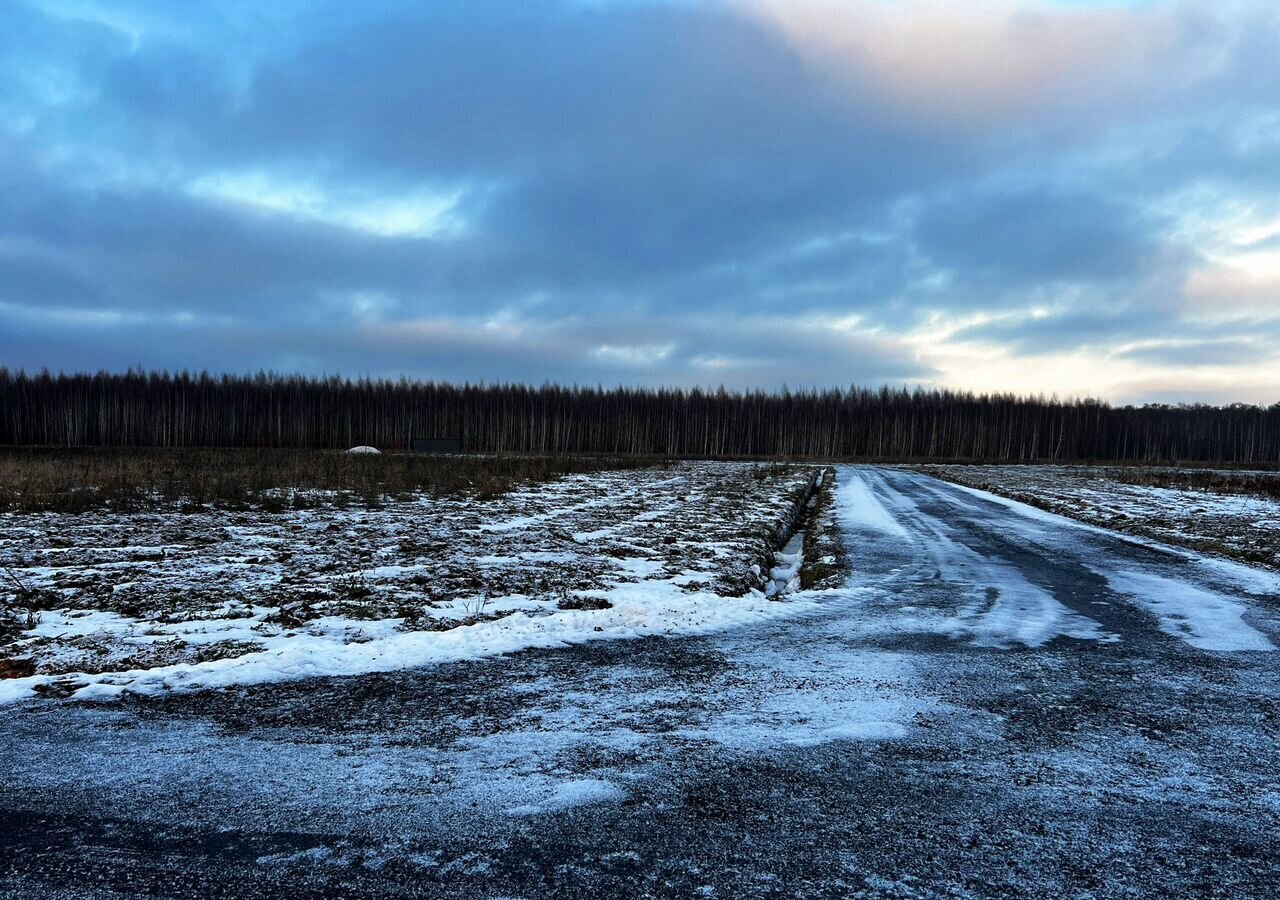 земля городской округ Раменский д Холуденево ул Лесная 71 28 км, Раменское, Рязанское шоссе фото 2