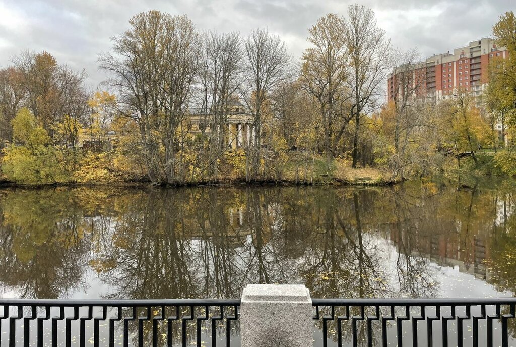 квартира г Санкт-Петербург метро Новочеркасская пр-кт Шаумяна 1 14 фото 23