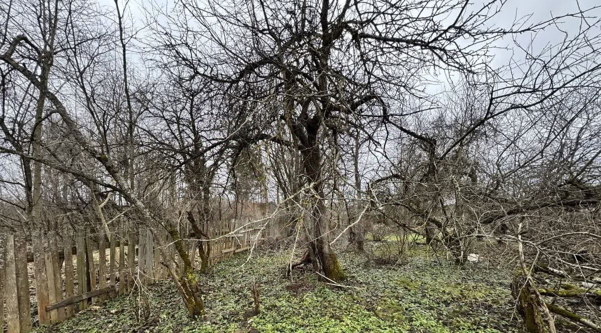 земля р-н Дорогобужский г Дорогобуж ул Симоновой фото 8