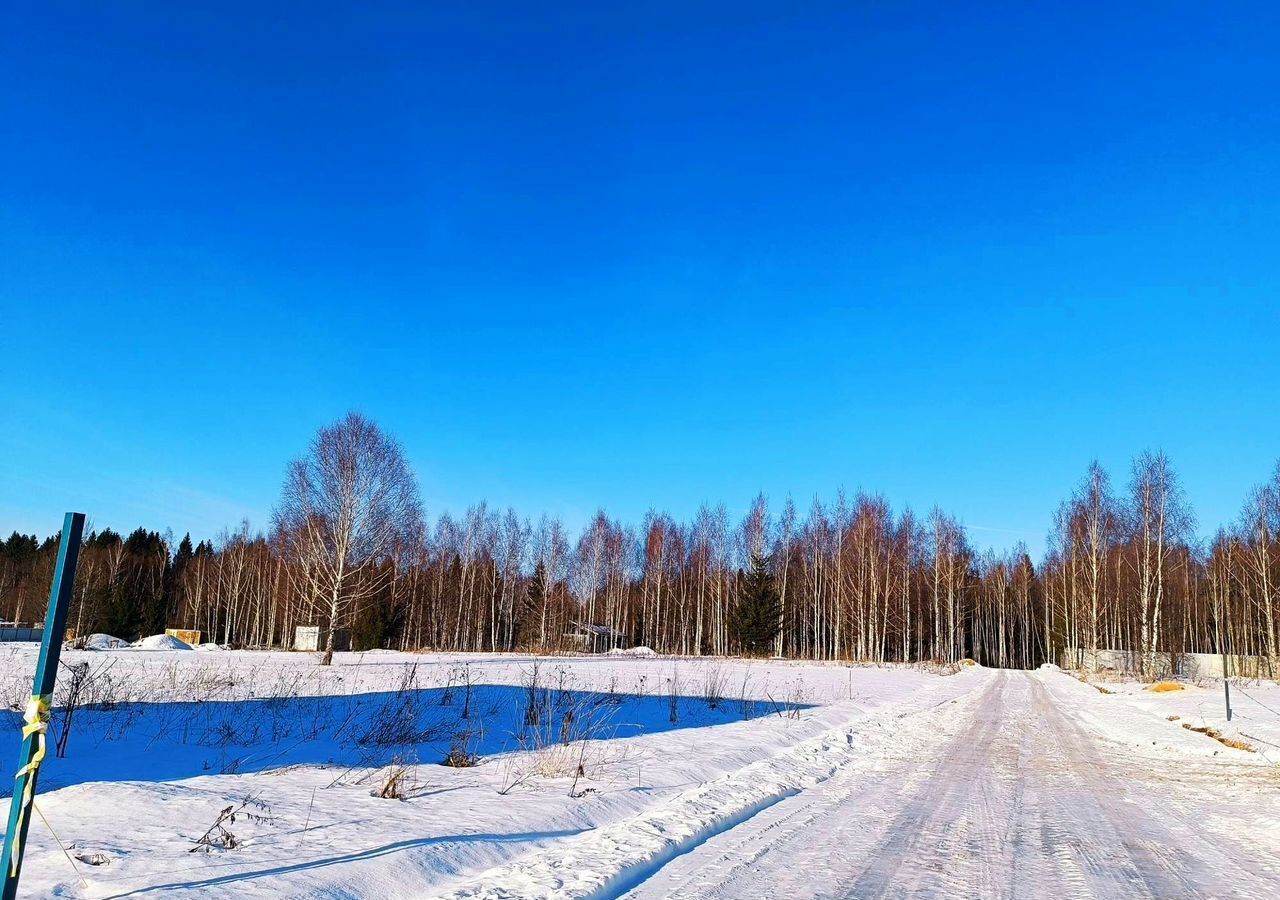 земля городской округ Сергиево-Посадский с Бужаниново 68 км, Краснозаводск, Ярославское шоссе фото 9