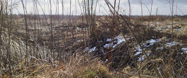 р-н Черняховский п Жаворонково Черняховский муниципальный округ фото