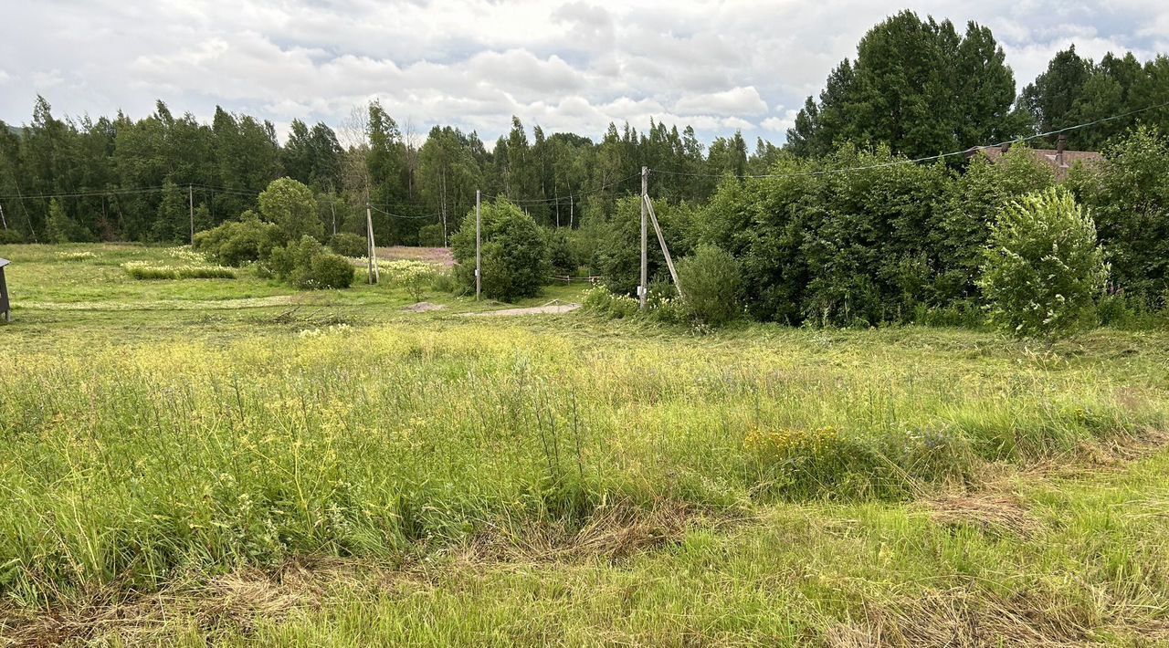 земля р-н Выборгский п Волочаевка Рощинское городское поселение фото 11