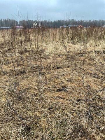 земля ТиНАО Руднёво Московская область, городской округ Наро-Фоминский, Селятино фото