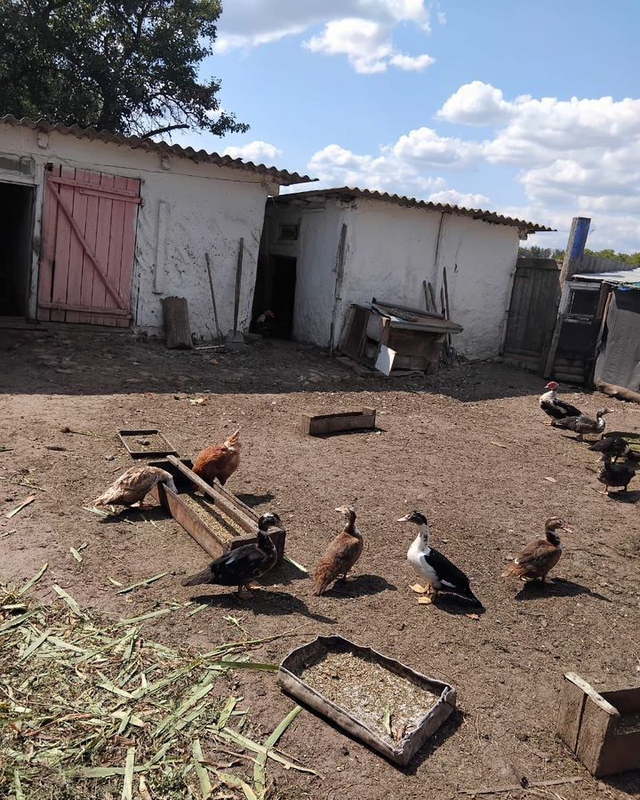 дом р-н Чернянский х Заречное ул Дачная городское поселение посёлок Чернянка, Чернянка фото 13