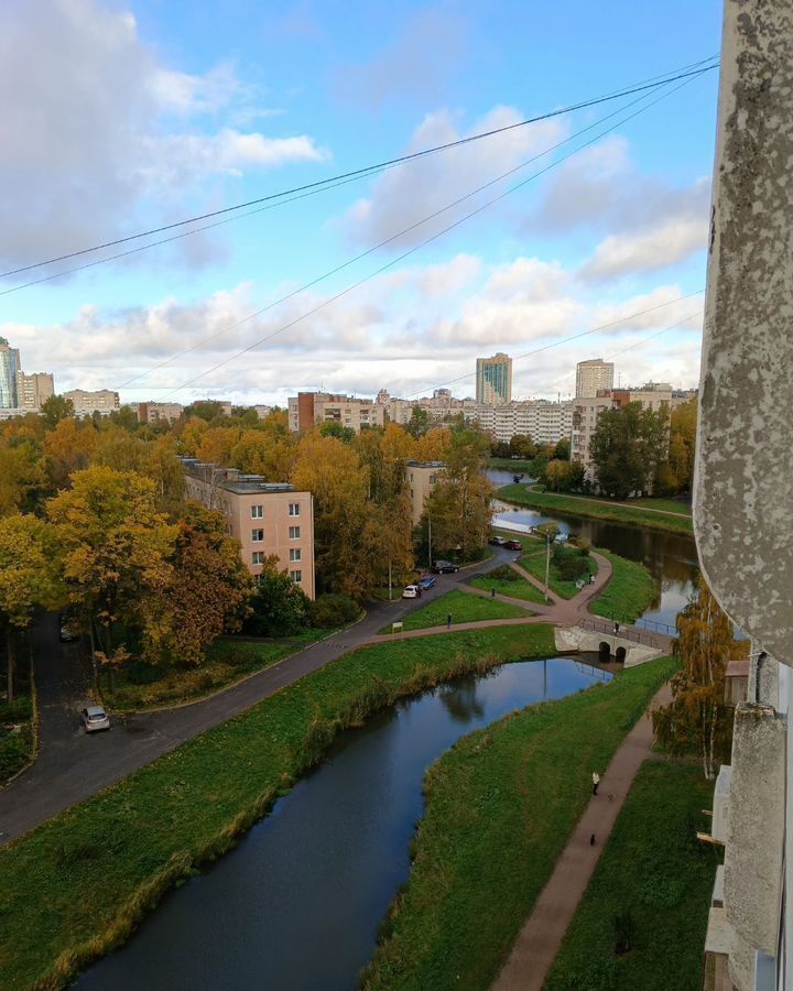 квартира г Санкт-Петербург метро Проспект Ветеранов ул Лёни Голикова 98к/1 округ Дачное фото 38