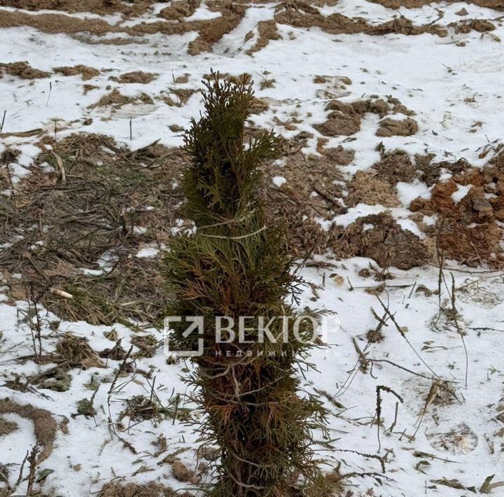 дом р-н Тейковский д Грозилово ул Молодежная 3-я 12 Большеклочковское с/пос фото 21