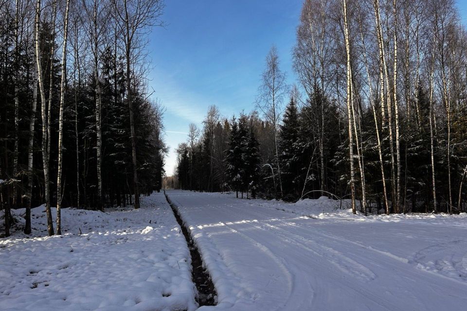 земля городской округ Дмитровский Медведки фото 1