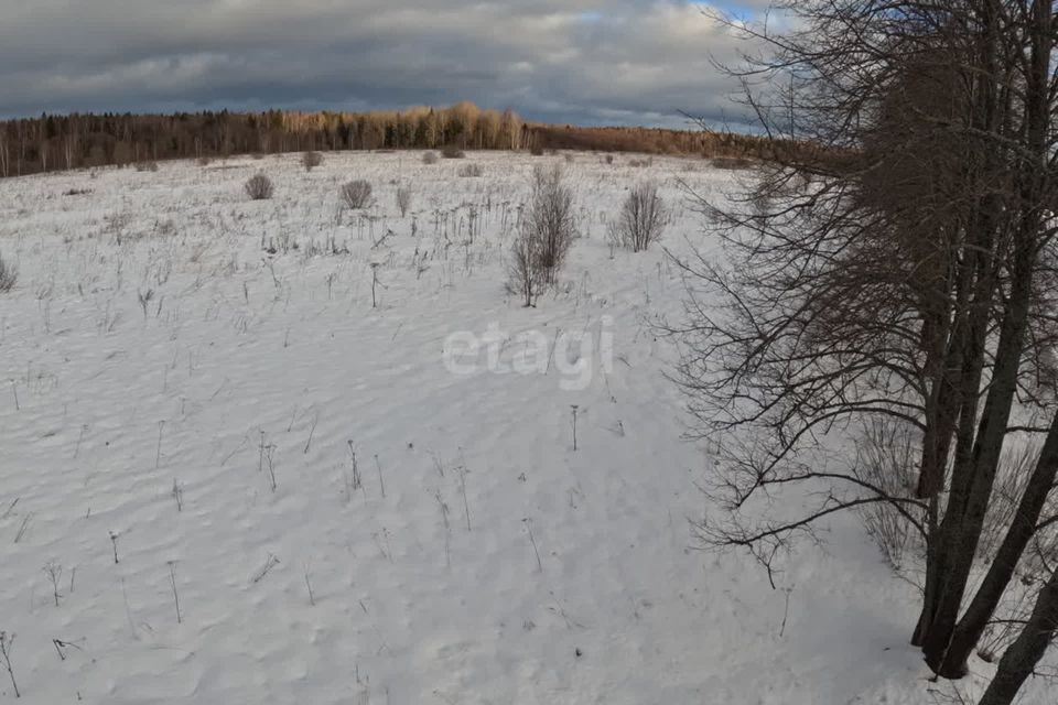 земля городской округ Клин д. Микляево фото 4