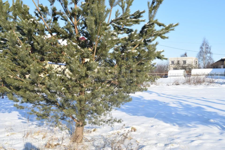 земля р-н Ломоносовский д. Низино фото 1