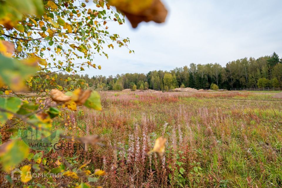 земля г Мытищи фото 6