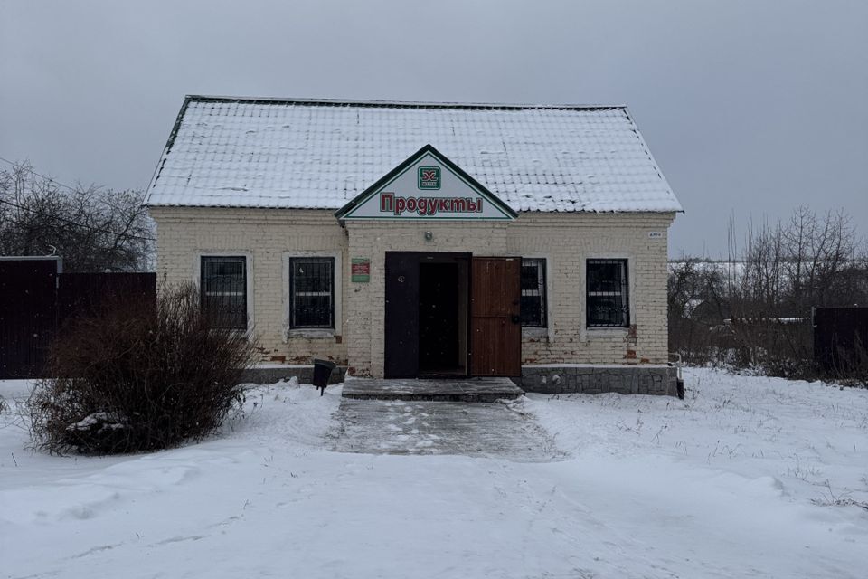 земля городской округ Воскресенск с Сабурово 69 фото 8