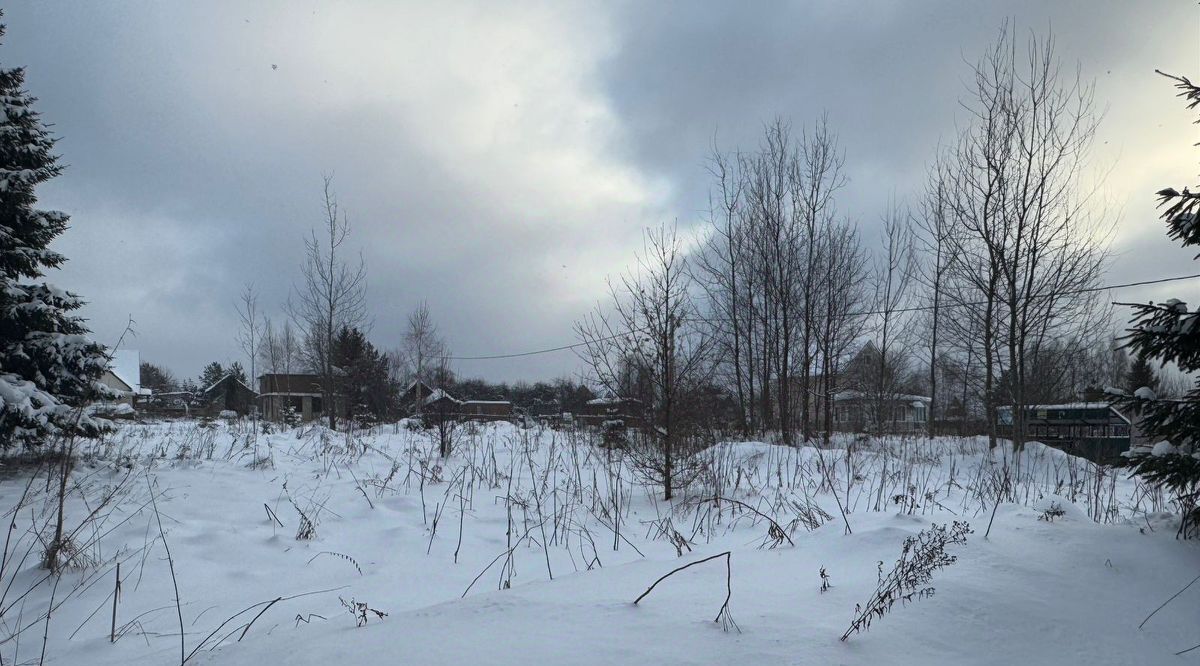 земля городской округ Солнечногорск д Бунтеиха фото 2