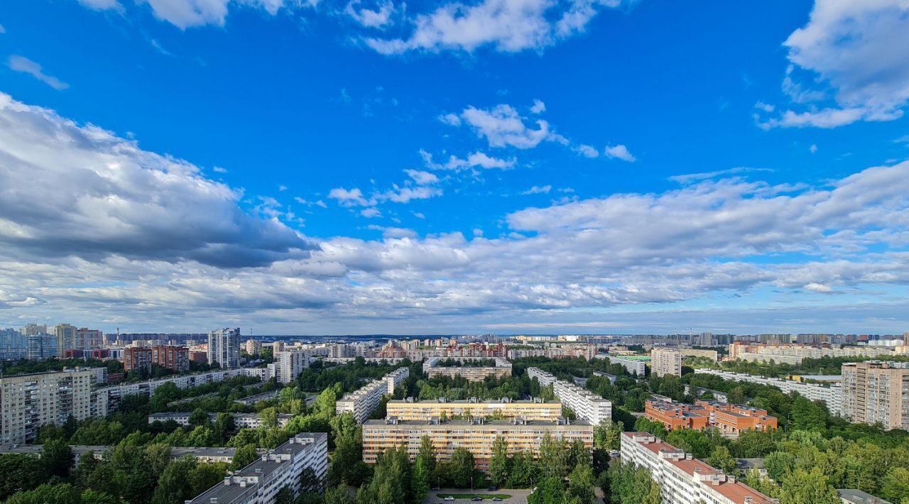 квартира г Санкт-Петербург метро Политехническая пр-кт Луначарского 78к/5 фото 6