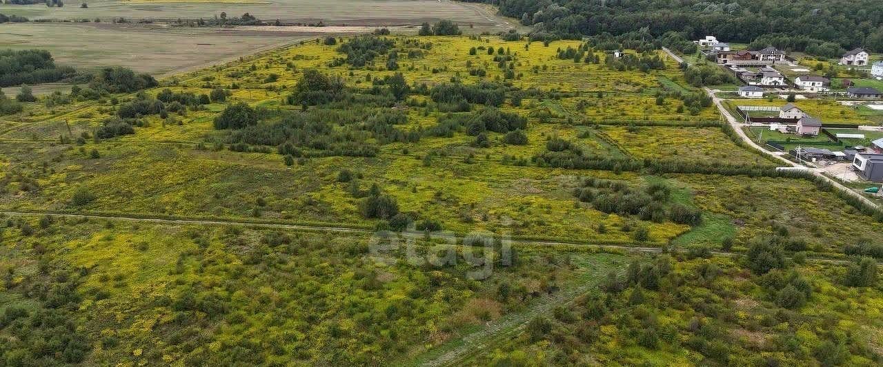 земля р-н Зеленоградский п Холмогоровка Зеленоградский муниципальный округ фото 4