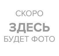 квартира г Новосибирск ул Бориса Богаткова 266/2 Новосибирск городской округ фото 9