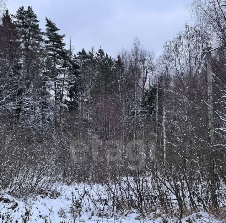 земля городской округ Дмитровский Дмитровские Дачи тер., ул. Левшина фото 2