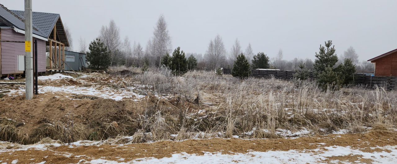 земля р-н Некрасовский с Диево-Городище ул Сиреневая 19 сельское поселение Красный Профинтерн, Туношна фото 3