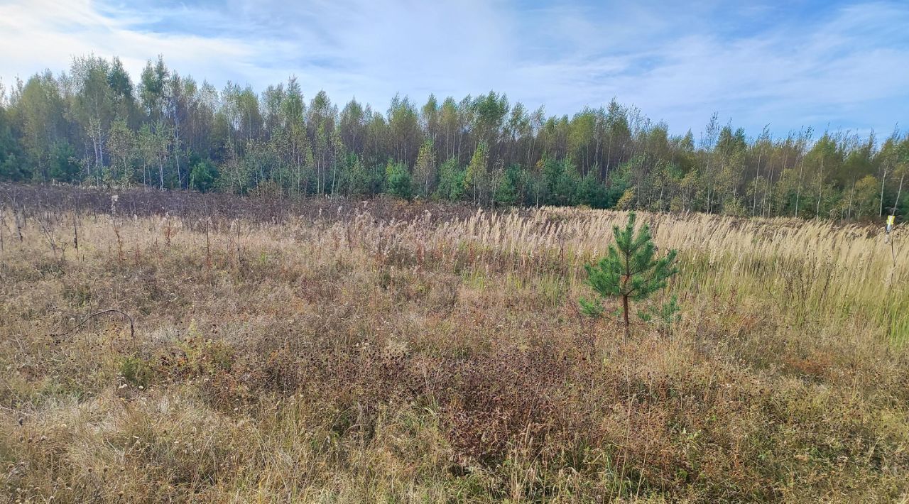 земля городской округ Раменский д Донино Раменское фото 2