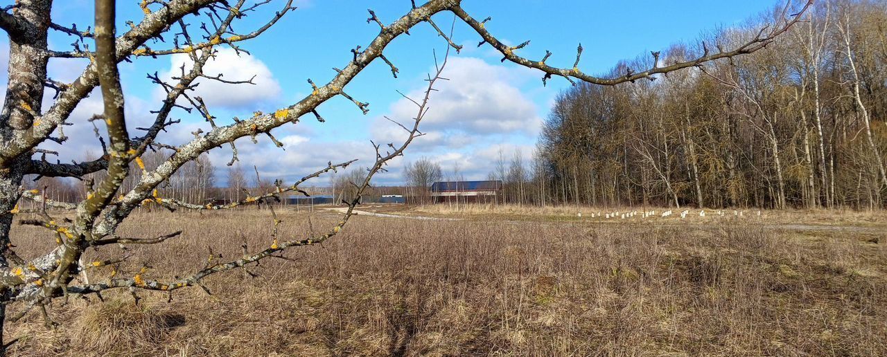 земля городской округ Чехов 54 км, коттеджный пос. Новое Жальское, Симферопольское шоссе фото 5