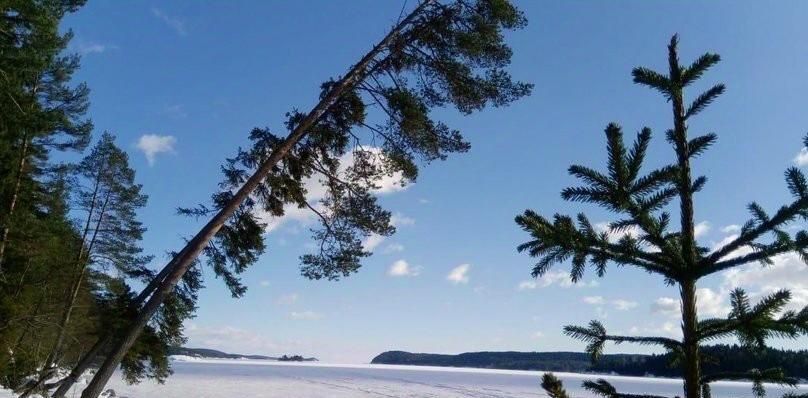 дом г Сортавала п Вуорио Сортавальский муниципальный округ, 111 фото 11