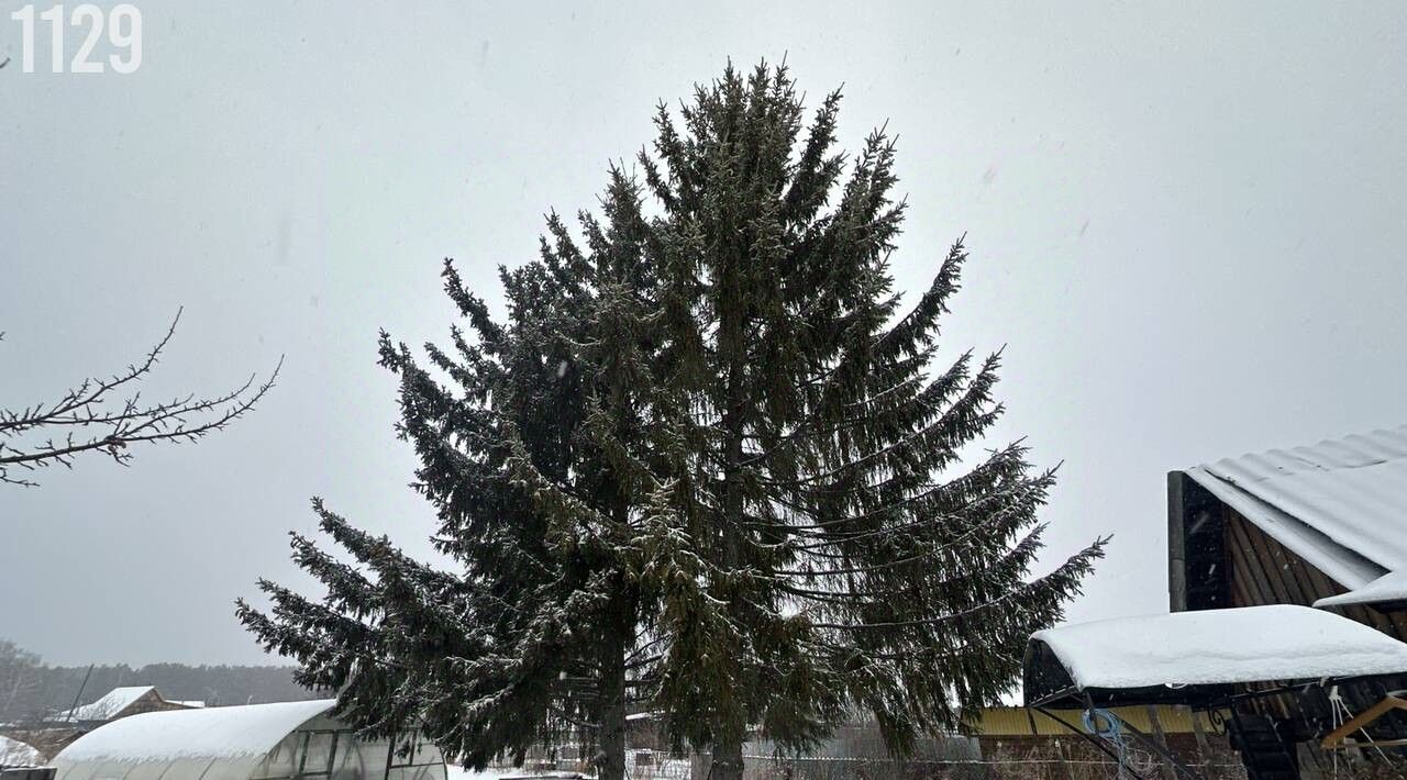 дом г Полевской с Мраморское ул Ленина 38 фото 22
