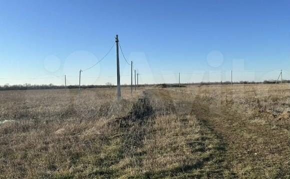 п Северный ул Школьная 1 Сады, Республика Адыгея Адыгея, Северо-Восточные фото