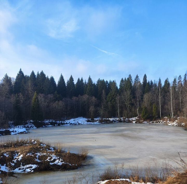 земля городской округ Клин д Покровка ул Лесная фото 4