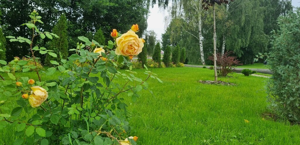 земля городской округ Чехов д Большое Петровское ул Славянская коттеджный посёлок Петровское парк фото 1