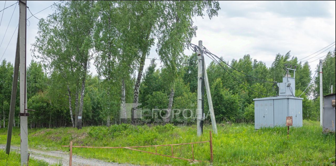 земля р-н Новосибирский с Ленинское снт Берег Барышевский сельсовет, ДНТ, Лазурный фото 1