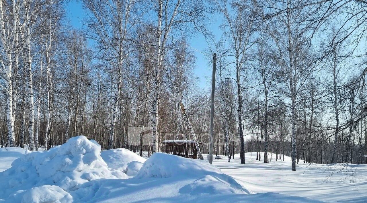 земля р-н Татарский г Татарск ул Ленина фото 3