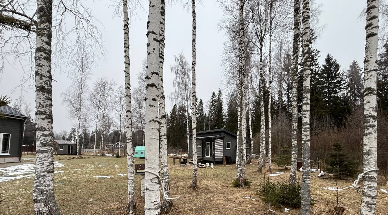 дом городской округ Дмитровский Зеленые Дали кп, 119 фото 39